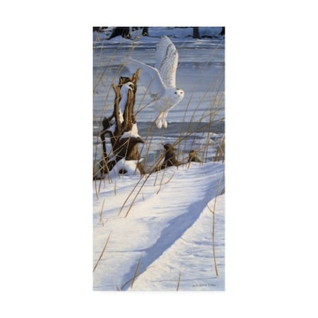 Michael Budden 'Great White Hunter' Canvas Art,16x32
